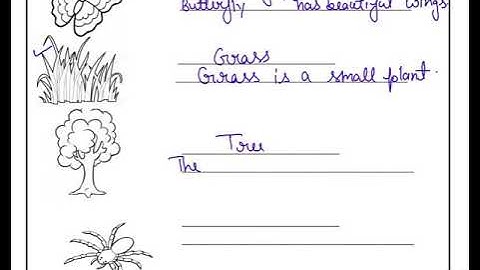 EDMC CLASS 3RD ENGLISH SOLVED WORKSHEET WEEK 10  CHAPTER THE YELLOW BUTTERFLY