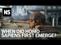 When did Homo sapiens first emerge?  It's a complex question to answer Mp3 Song