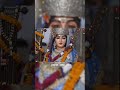 Karaulisarkarlivestrim @karaulisarkarofficial on ABP NEWS #livestreamkaraulisarkarl #livestream