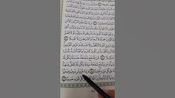 91_ تصحيح تلاوة | الجزء الخامس | سورة النساء | معتز فراج