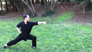 Five Motions 五步拳 White Belt SV KUNGFU