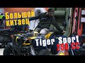 СВЕРХДОСТУПНЫЕ КВАДРОЦИКЛЫ. САМЫЙ БОЛЬШОЙ китаец за 150 тыс? Обзор Tiger Sport 250 CC