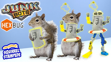 HexBug JunkBots Series 1 Trash Robots Models Review 2020