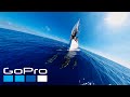 Gopro awards sailing with dolphins