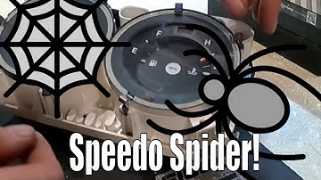 Classic Mini Speedo Spider & Engine Strip - Project Tardis #13