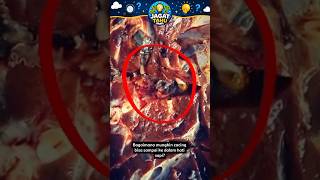 Lihat bagaimana cacing parasit ini bisa masuk ke hati?! 😱😱 #faktahewan #parasite #cacing