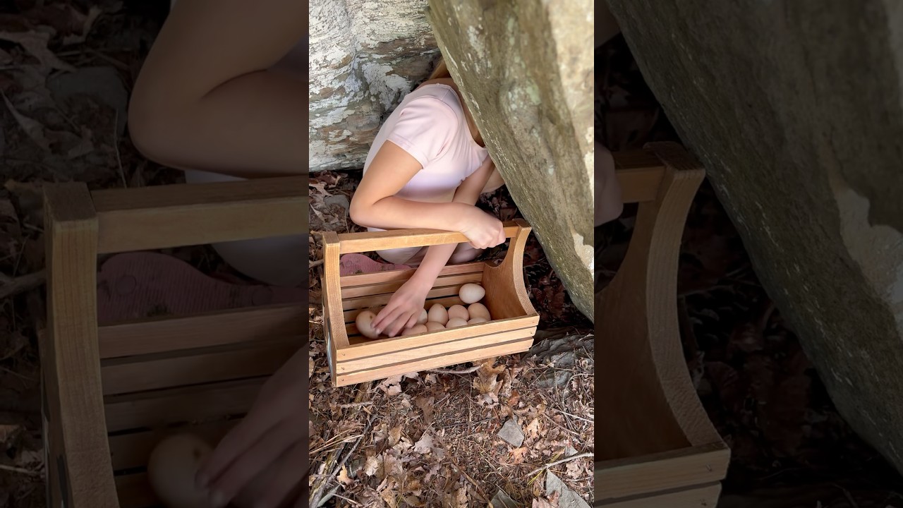 Great find! #surprise #find #youtubeshorts #backyardchickens #farming #guineahen #heythere