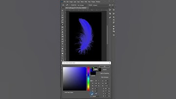 Remove Feather Background in Photoshop: Short Tips and Tricks