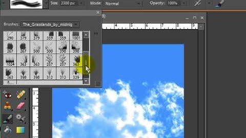 http://www.scrappingfriends.com - Using Brushes to Make a Background in Photoshop Elements 7