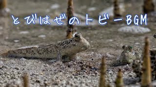 【とびはぜのトビー】0655＆2355で使われているクラシック音楽【日めくりアニメ】