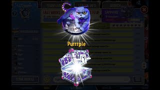 8x Sapphire chest opening - Governor of poker 3 - GOP3 Cyber cats event by 42NX 1,081 views 10 months ago 4 minutes, 9 seconds