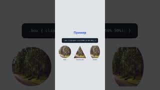 Свойство clip-path позволяет обрезать элементы в круг, треугольник или любую фигуру #css #shorts