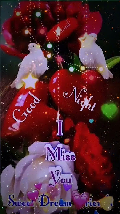 Good Night Status Video WhatsApp Status Video Good Night #goodnight #statusvideo 17/03/2023