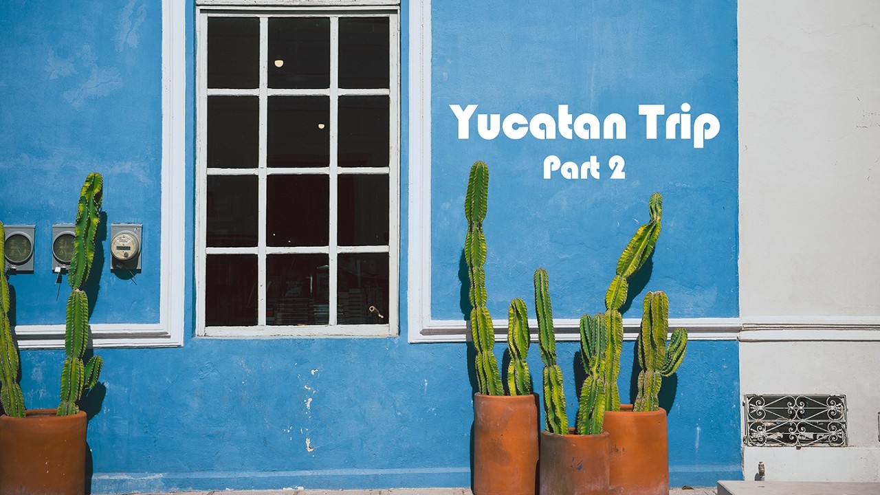 【Vlog】ユカタン半島を巡る神秘的な旅② 秘境セノーテ ウシュマル遺跡