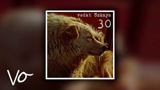 Vedat Özkaya - 30 Resimi