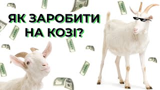 Коза і гроші: як побудувати бізнес на козиній фермі. Досвід Мукко | ЕФЕКТ МАСШТАБУ | Latifundist