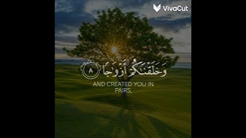 قرآن كريم 🌿 تلاوة خاشعة 🌿 من سورة النبأ 🌿 القارئ عبد الرحمن مسعد 🌿