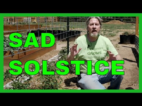Video: Sommersolhverv Havearbejde – Første sommerdag Plantningsvejledning