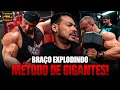 FE FRANCO, BRANDÃO E HORSE - MELHOR TREINO DE BRAÇO DO ANO!