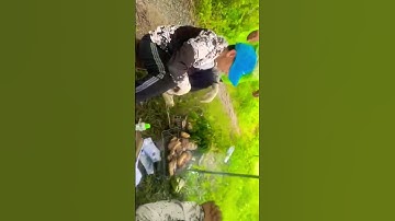 mưa gió cũng không cản đường món cá nướng muối #music#cảnh_đẹp #fishing #câu_cá_giải_trí #nướngcá