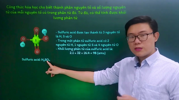 Hướng dẫn học khoa học tự nhiên lớp 7 năm 2024