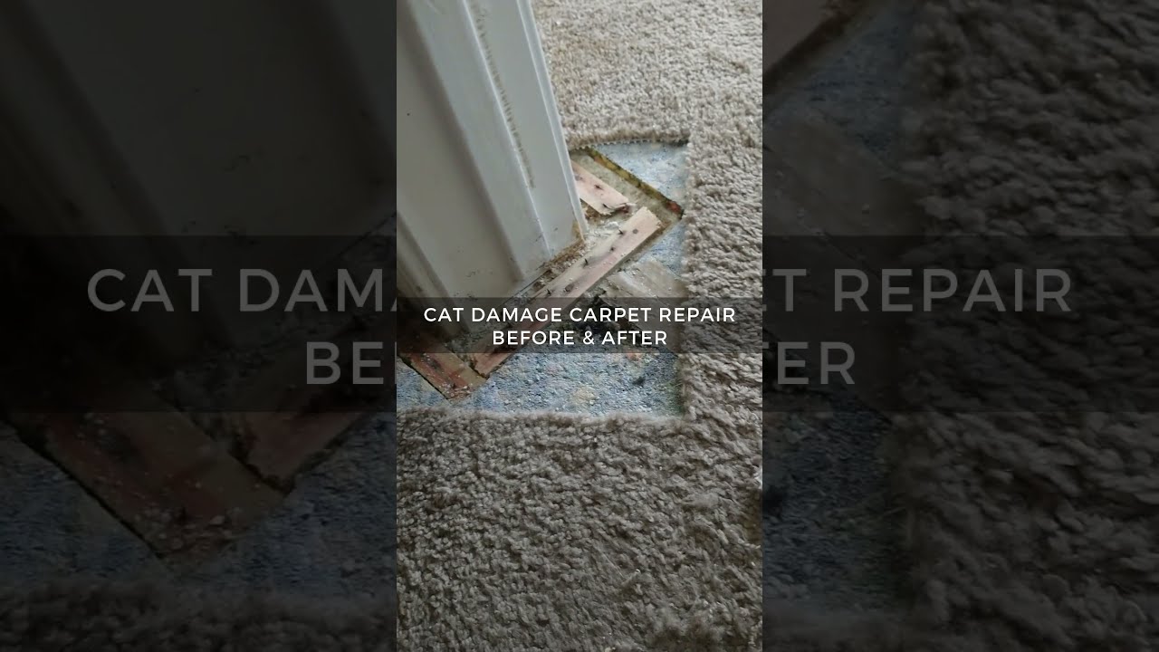 Pet Damage Carpet Patch In Sacramento, CA - (916)312-7000