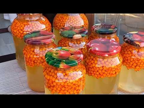 Компот из облепихи. Компот из облепихи. Компот из облепихи 1л. Как варить компот из облепихи. Как варить компот из облепихи.