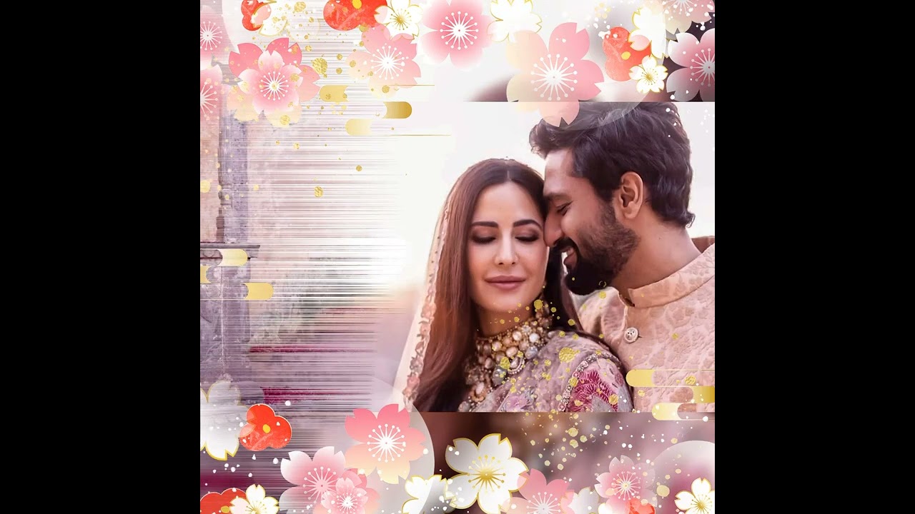 katrina❤️ Vicky Love Status🥰|| Nikita love stetus  💕|| Whatsapp Love Status 🥰