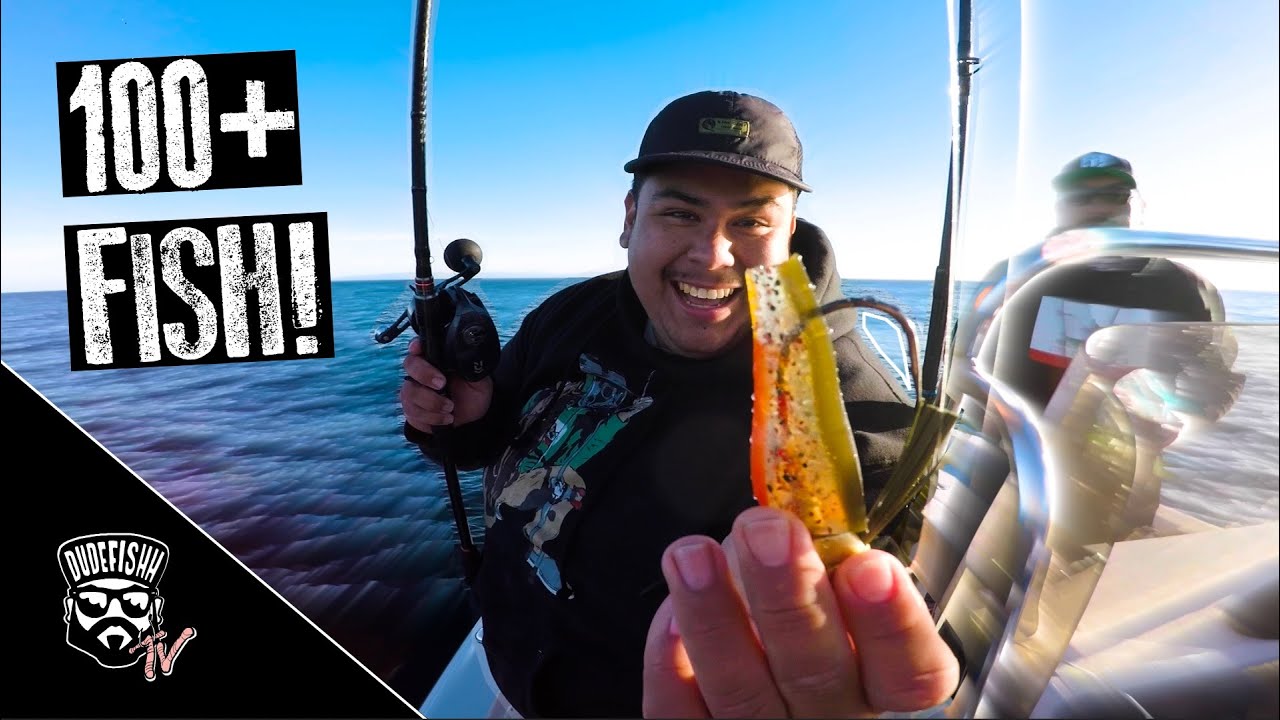 Hunting GIANT Calico Bass & Yellowtail  San Clemente Island Fishing (NON  STOP ACTION) 