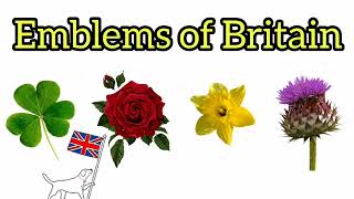 BRITISH FLOWER SYMBOLS | UK | The United Kingdom | BRITISH CULTURE