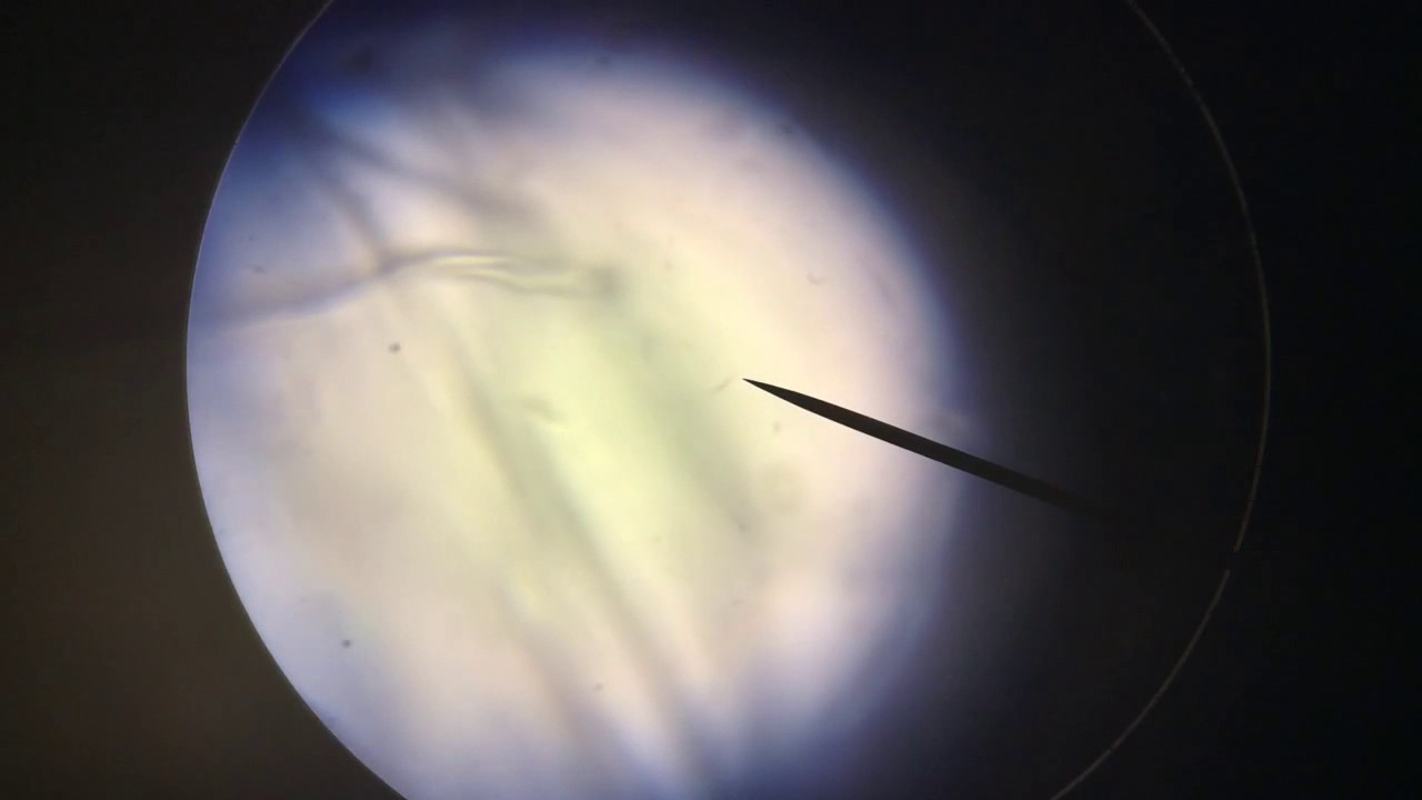 trim CE7DC53C B4C2 478A 9CDD 69B54A62C50A