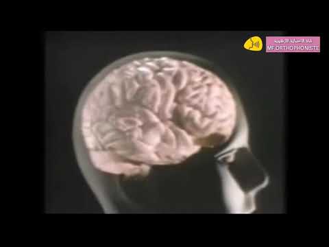 منطقة اللغة في الدماغ ( بروكا ، فرنيكي aphasie de broca et wernicke