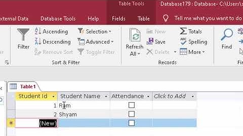 Yes or no data type in Microsoft access 2016 in hindi and english
