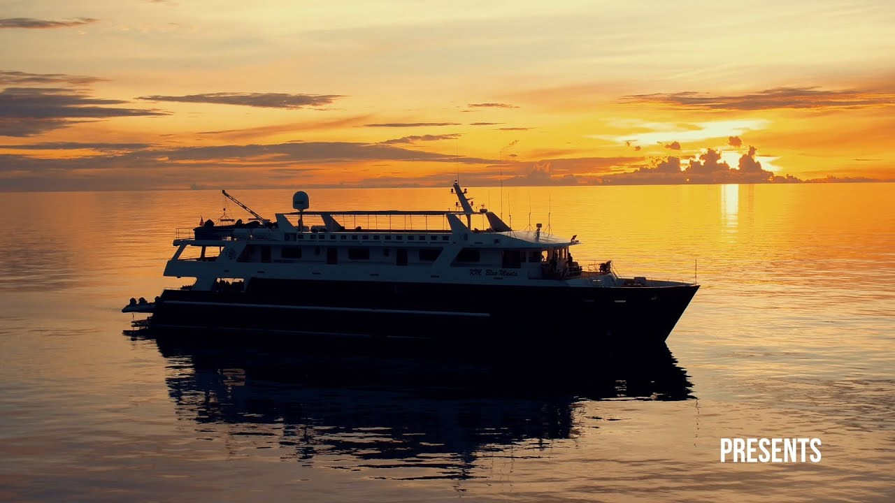Blue Manta Liveaboard in Komodo National Park - Liveaboard Indonesia