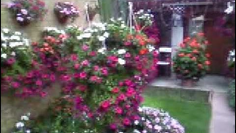 سوره شمس با ترجمه فارسی