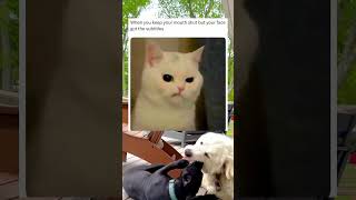 Silent, But Your Face Got Subtitles -Memes