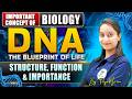 DNA Basics You Must Know! (Simple Explanation)