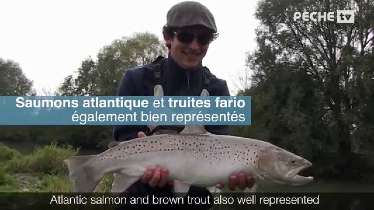 peche a truite pas de calais