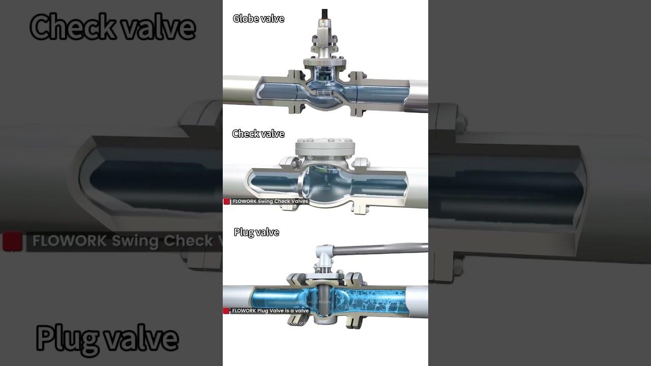 How Globe Valves Check And Plug Work Valve Machine Industry