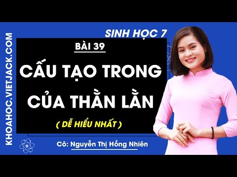Video Sinh học 7 - Bài 39 - Cấu tạo trong của thằn lằn - Cô... - YouTube