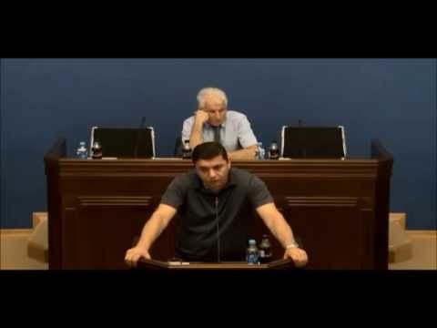კანონპროექტი სახალხო რაზმელების თაობაზე
