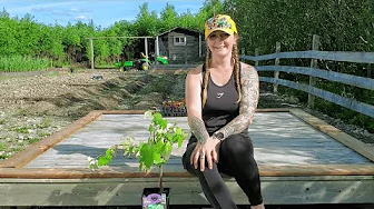 How We Built a Strong & Simple Grape Trellis | Growing Grapes in Zone 5 (Homestead DIY)
