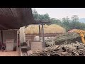 Watching Tons Of Raw Bamboo Turn Into Clean Woodchips