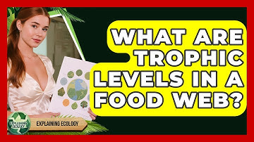 What Are Trophic Levels In A Food Web? - Explaining Ecology