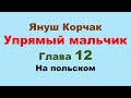 12 глава. Януш Корчак &quot;Упрямый мальчик&quot;. Жизнь Луи Пастера.