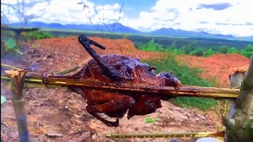 Berburu belibis langsung masak di tempat