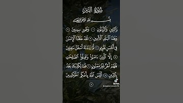 سورة التين|الشيخ جمال مصطفي #quran #القرآن_الكريم #قرآن