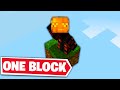 Minecraft, But It's ONE BLOCK..