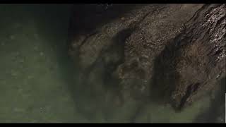 Imágenes y sonidos del territorio del río Foyel, provincia de Río Negro.