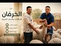  The Most Powerful Sheep Breeds in Egypt and the World Secrets of Assaf Sheep and Their Advant  mp3